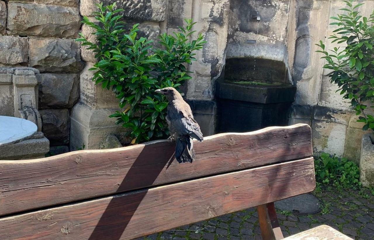 Ferienzimmer Tübingen Eksteriør billede
